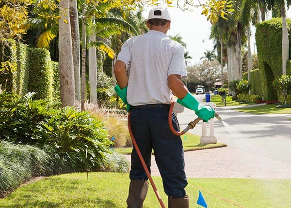 About Ridgefield NJ Pest Control Pros
